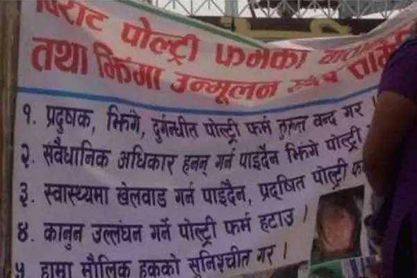 Local Residents Fight Against Birat Poultry Farm