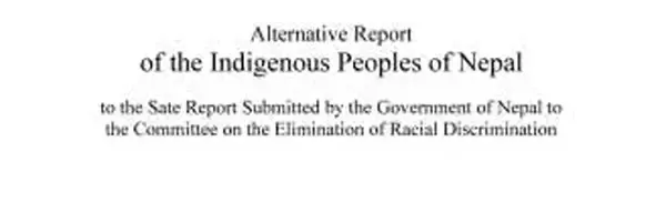 Alternative Report Submitted to the 95th Session of the UN CERD