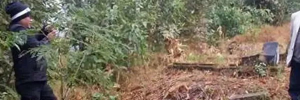 Cultural land/graveyard Grabbing of Indigenous Peoples in Eastern Nepal