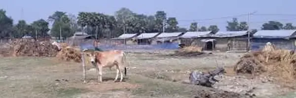 Displacement of Shanthal Indigenous Peoples by the road expansion project, Morang District