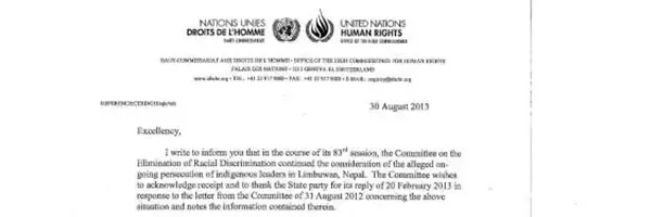 Early warning letter by the CERD, constitution making process
