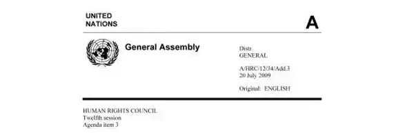 Report by James Anaya, the Special Rapporteur