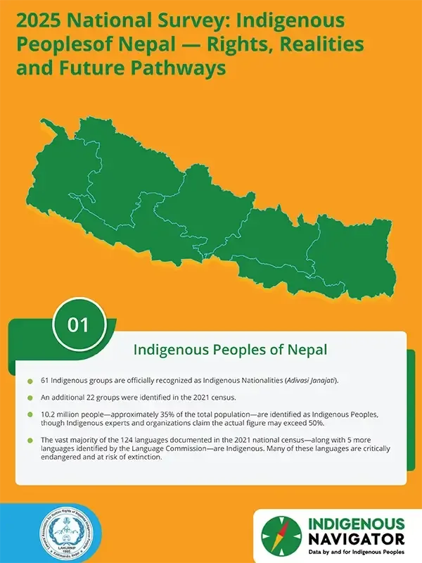 Infographic Indigenous Peoples of Nepal  Rights, Realities and Future Pathways