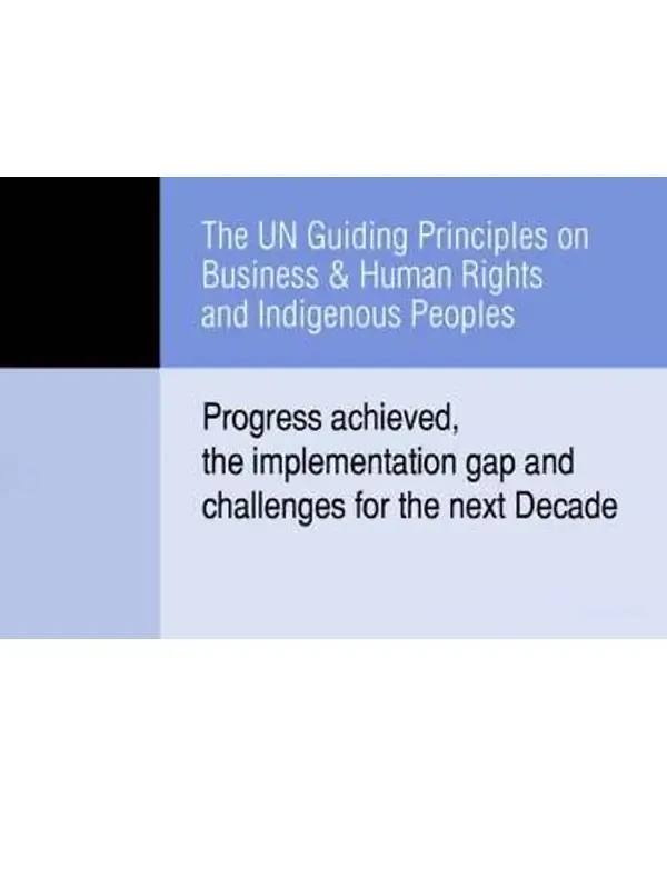 IWGIA  Report UNGP+10 2021  FINAL ENG