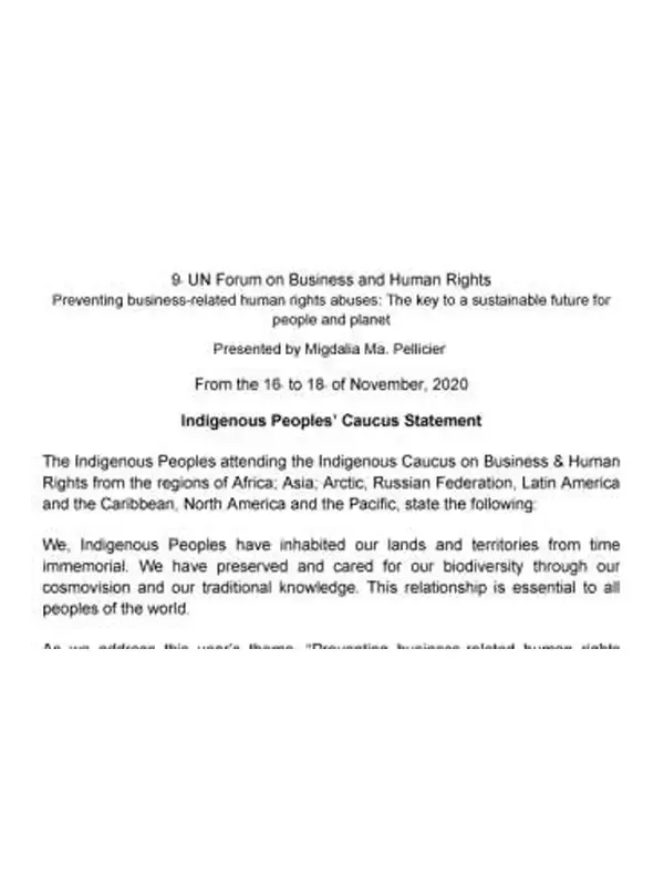 Statement of Indigenous Peoples Caucus to BHR Forum